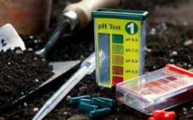 soil-pH-test-kit
